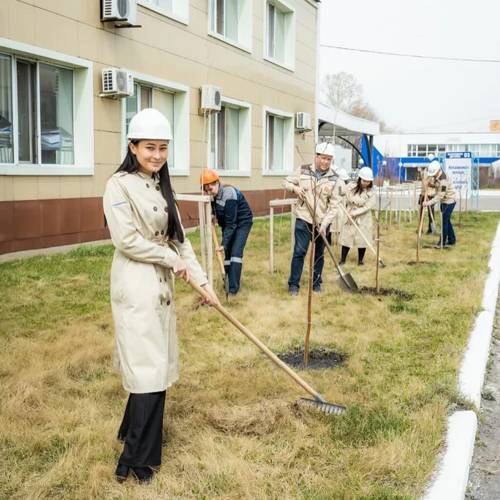 Когда деревья будут большими